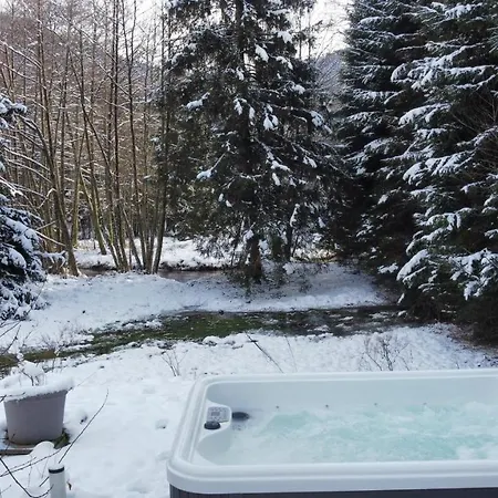 Le Petit Bouchot&jacuzzi Privatif Proximité Gerardmer&la Bresse Chalet
