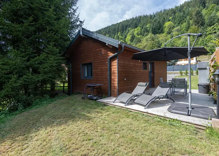 Horská chata Le Petit Bouchot & Jacuzzi Privatif Proximite Gerardmer & La Bresse Rochesson